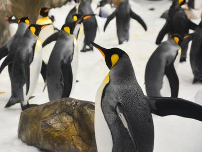 Mantra on Little Bourke - Melbourne