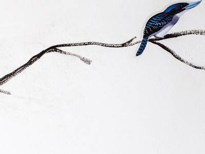 Palazzo Conti Camere & Suite