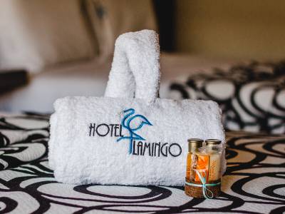 Hotel Flamingo Merida