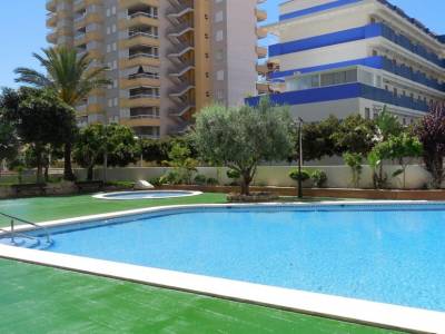 Apartamentos Bonaire 3000