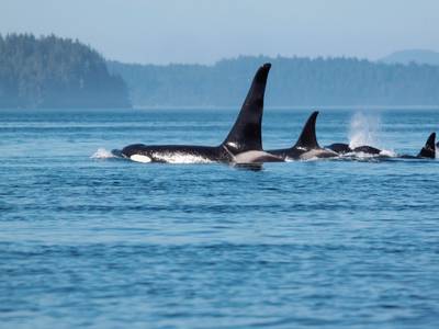 Farewell Harbour Lodge