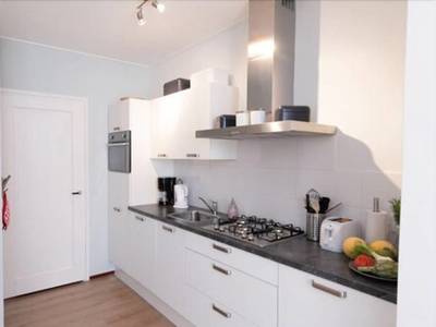 Urban Apartments Gerard Dou