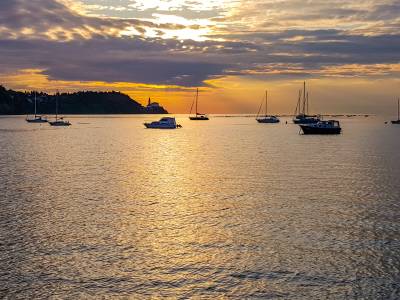 Hotel Lavender Oleander Resort