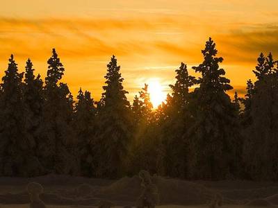 Kakslauttanen Arctic Resort