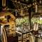 Four Seasons Tented Camp Golden Triangle