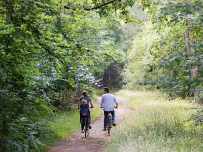 Center Parcs Les Bois-Francs