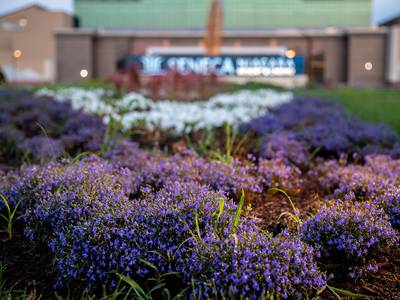 Seneca Niagara Casino & Hotel