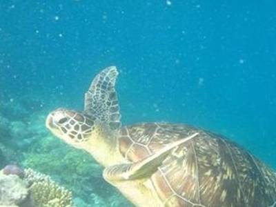 Port Douglas Retreat