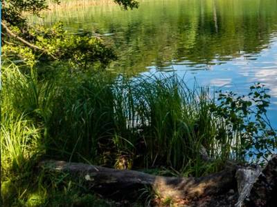 Axxon Hotel Brandenburg