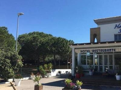 Marisma Sancti Petri