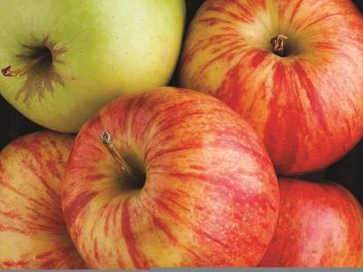 La Quinta Greensboro