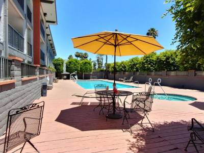 The Excelsior by Lei